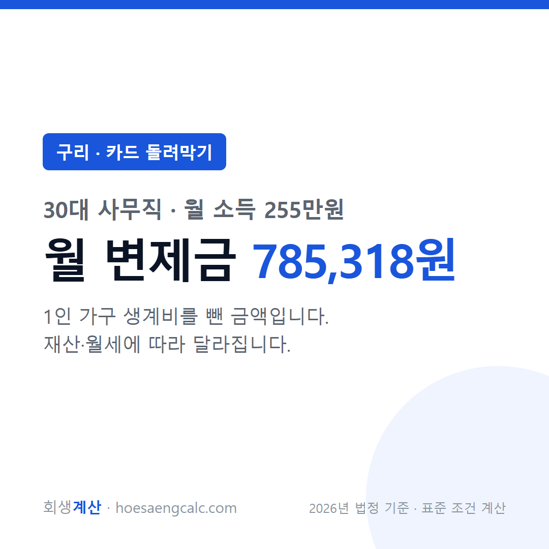 구리 카드 돌려막기 사례 월 변제금 — 30대 사무직 월 소득 255만원 기준