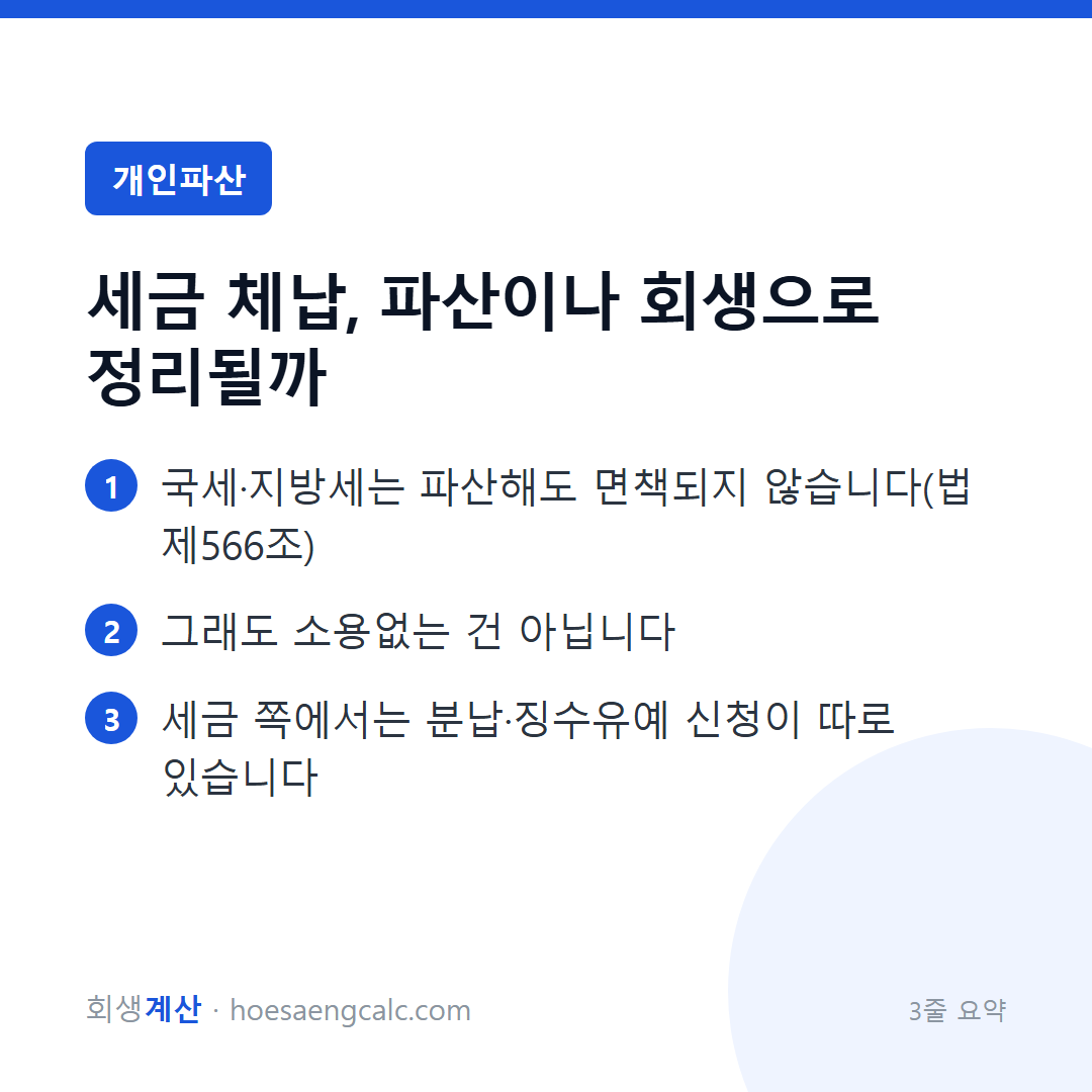 세금 체납, 파산이나 회생으로 정리될까 — 3줄 요약