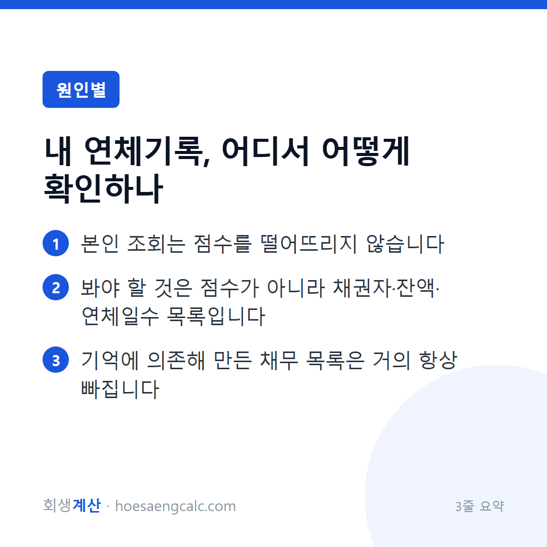 내 연체기록, 어디서 어떻게 확인하나 — 3줄 요약
